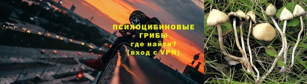 молекула духа Вязники