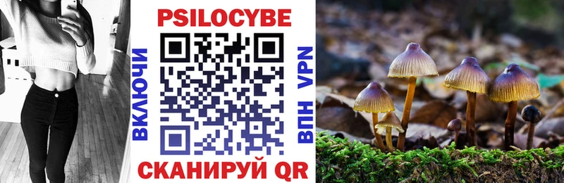 Псилоцибиновые грибы MAGIC MUSHROOMS Тамбов